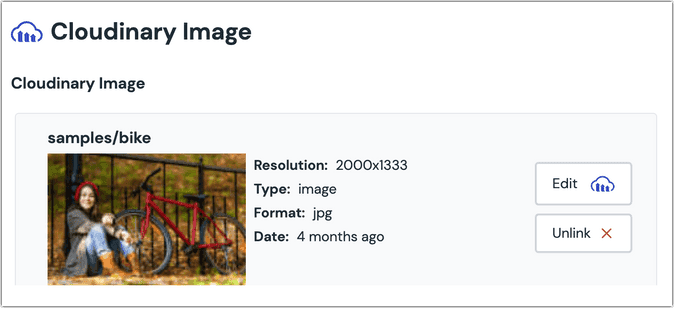 cloudinary-image-parameter-example